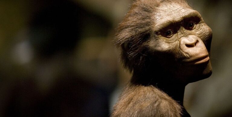 Pourriez-vous devancé «Lucy», votre ancêtre de 3 millions d'années? La nouvelle science dit très probablement



