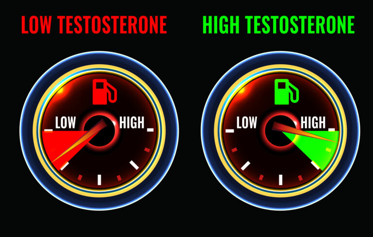 Comment augmenter la testostérone… naturellement
