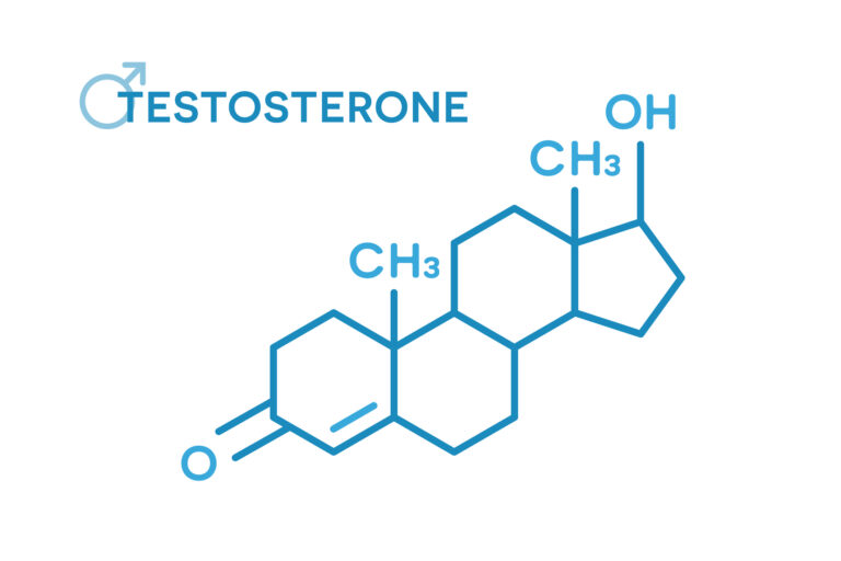 Meilleurs boosters de testostérone pour les hommes plus âgés
