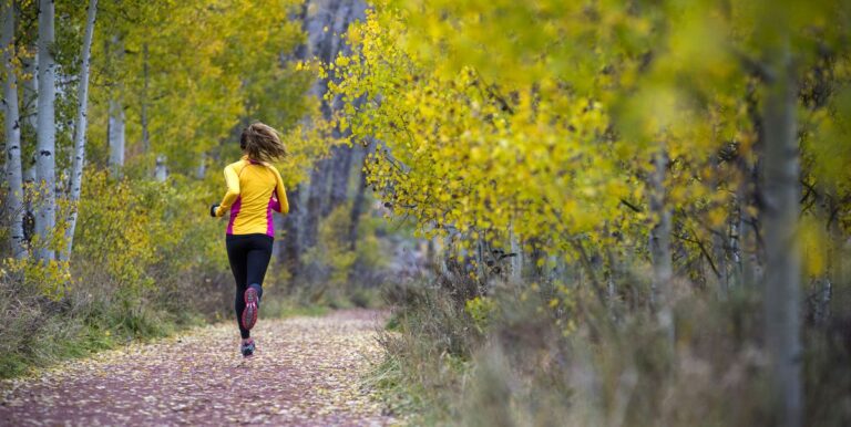 Je ne peux pas faire une longue course sans un itinéraire hors et arrière



