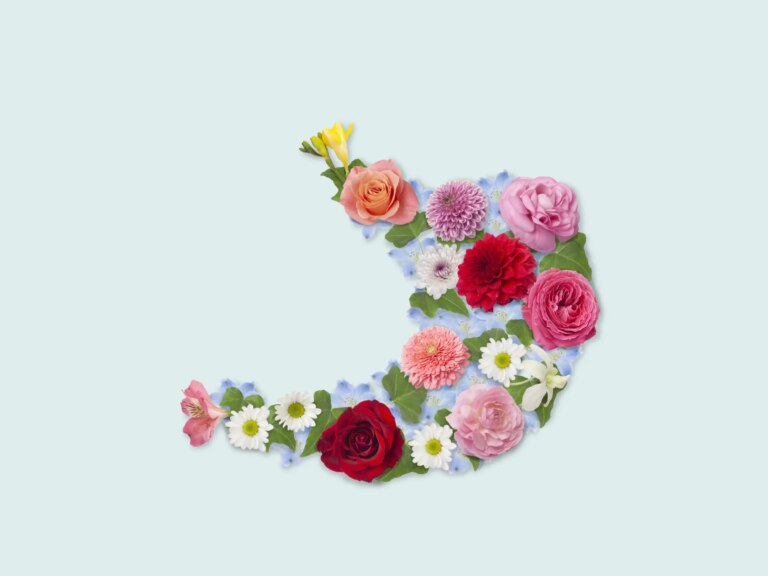 Que sont les enzymes digestives et comment fonctionnent-elles ?
