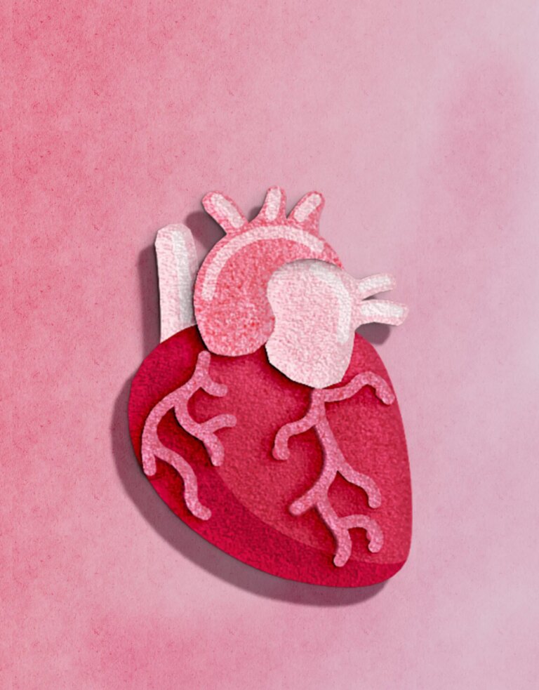 anatomical heart made of felt textile in red background